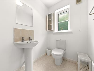 Picture 19